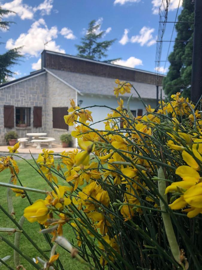 Villa Aurelia - Casa De Campo Con Jardin Y Piscina Entre Madrid Y Segovia Ortigosa del Monte Exterior foto